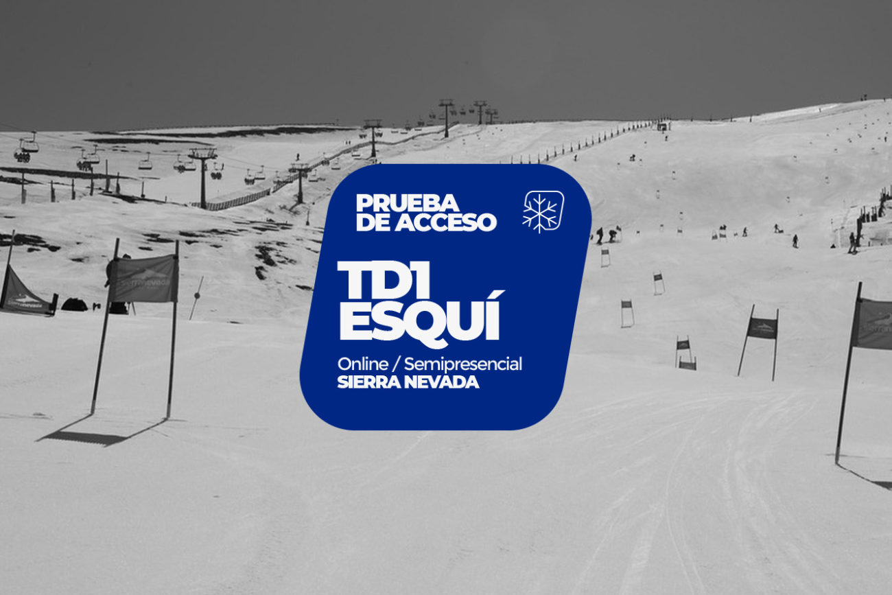 PA_TD1EsquiSN