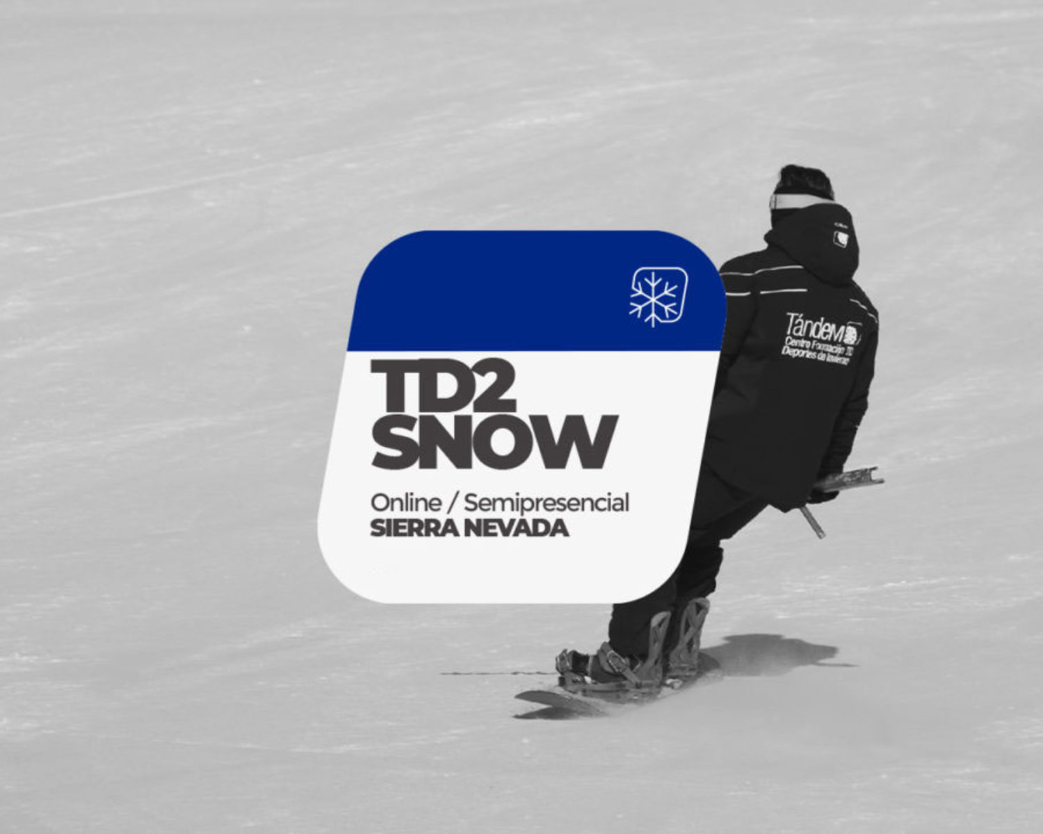 TD2 Snowboard | Sierra Nevada